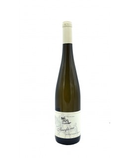 

                            
                                Wiltinger Braunfels Kabinett Trocken 2020 Neu Erben

                            