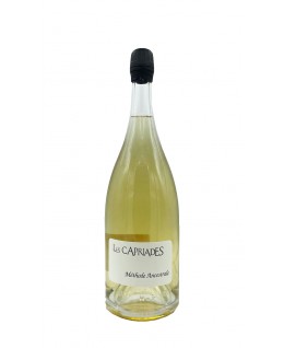 

                            
                                Pet Sec Blanc 2018 Vin de France Magnum aoc Les Capriades

                            