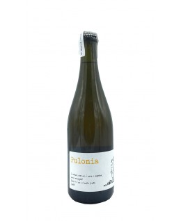 

                            
                                Pulonia Emilia Bianco Frizzante Igp 2021 Angol d'Amig

                            