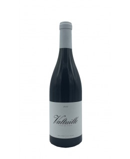 

                            
                                Valtuille Vino de Villa 2022 Do Bierzo Castro Ventosa

                            