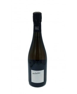 Champagne Cuvée Initiation Extra Brut aoc Benoit Dehu