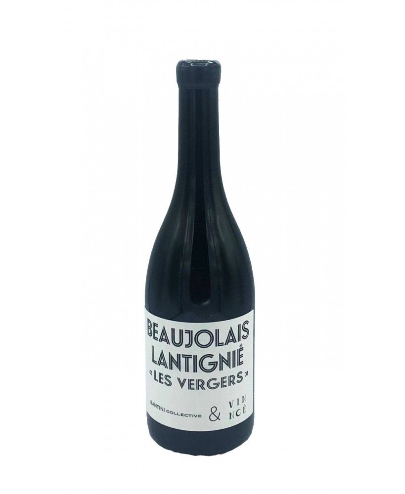 Lantignié Beaujolais aoc 2017 Vin Noè