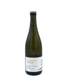 

                            
                                Pulonia Emilia Bianco Frizzante Igp 2020 Angol d'Amig

                            