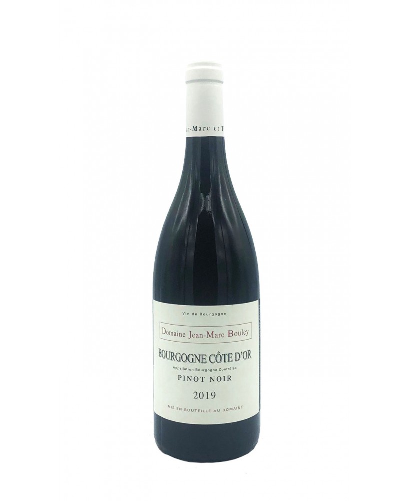 Bourgogne Pinot Noir Cote d'Or aoc 2019 Domaine Thomas Bouley