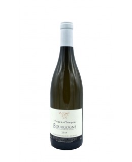 

                            
                                Bourgogne Blanc Les...

                            