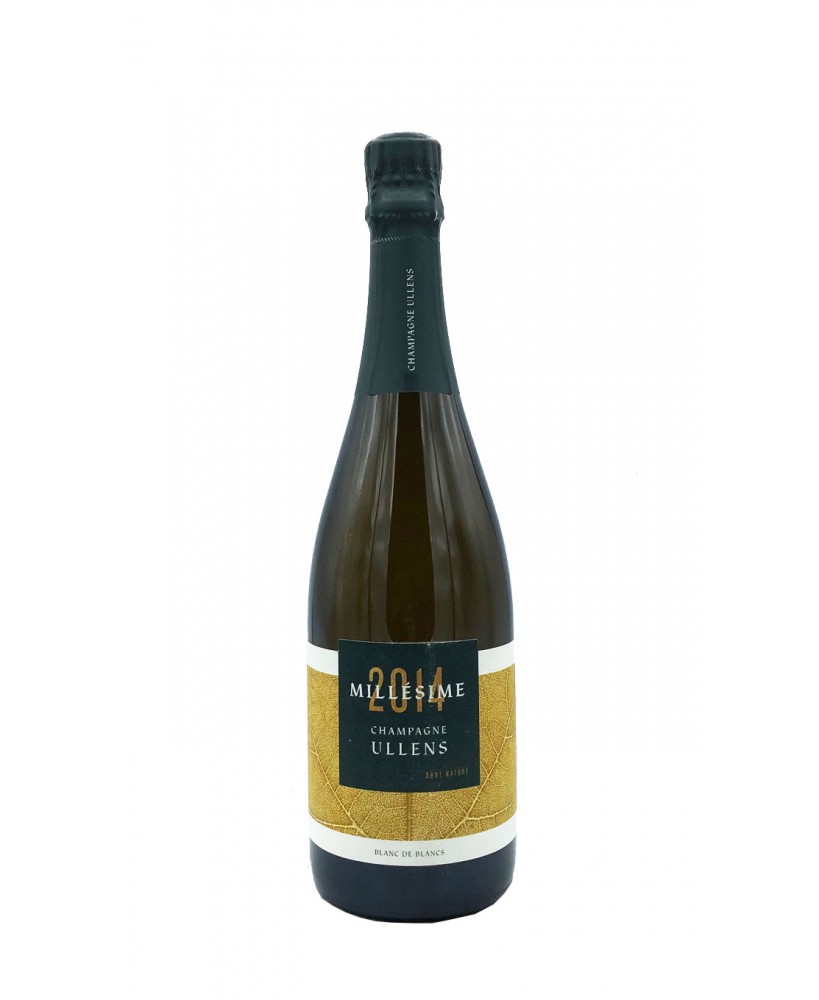 Champagne Ullens Blanc de Blancs Extra Brut 2014 aoc Domaine de Marzilly