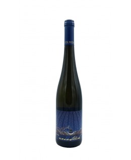 

                            
                                Unendlich Riesling Smaragd 2020 F.X. Pichler

                            