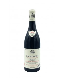 

                            
                                Bourgogne Pinot Noir Les Graviers aoc 2020 Domaine Jean-Michel Guillon & Fils

                            