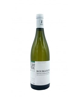 

                            
                                Bourgogne Hautes Cotes de Beaune Blanc aoc 2020 Domaine Jean Claude Rateau

                            