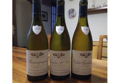 Degustazione dei Vini Bianchi di Gaston e Pierre Ravaut